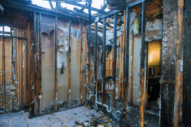 Professional Fire Damage Removal technician working in Middleton, ID